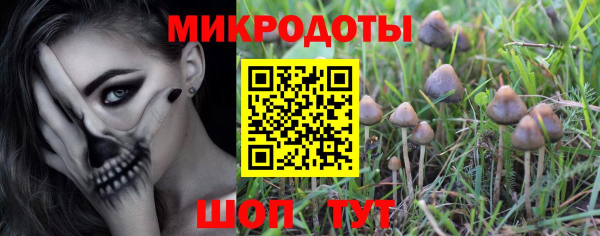 Галлюциногенные грибы Psilocybine cubensis Таганрог