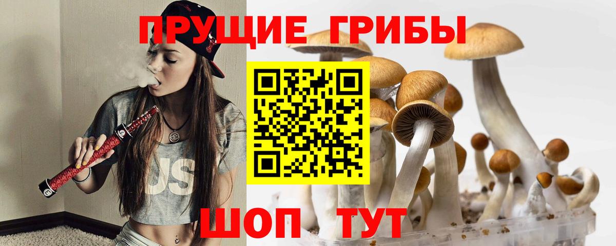Псилоцибиновые грибы прущие грибы  Вход с VPN  Таганрог 